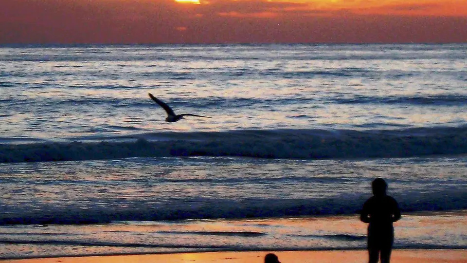 Incontri sesso Udine: una persona in riva al mare al tramonto