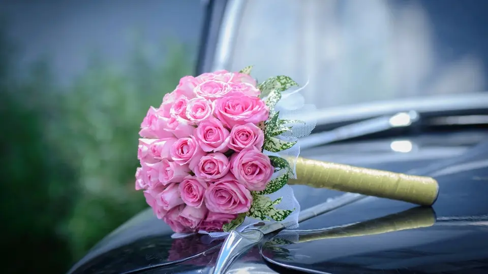Incontri sesso Veneto: un bouquet di rose rosa sul cofano di un'auto